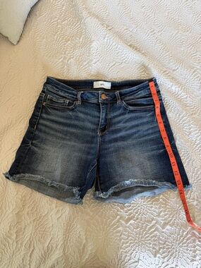 BKE Medium Wash Frayed Hem Denim Shorts in Blue